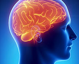 Understanding Dementia